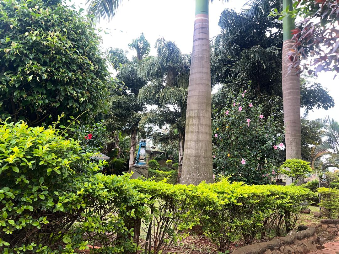 Garden Area
